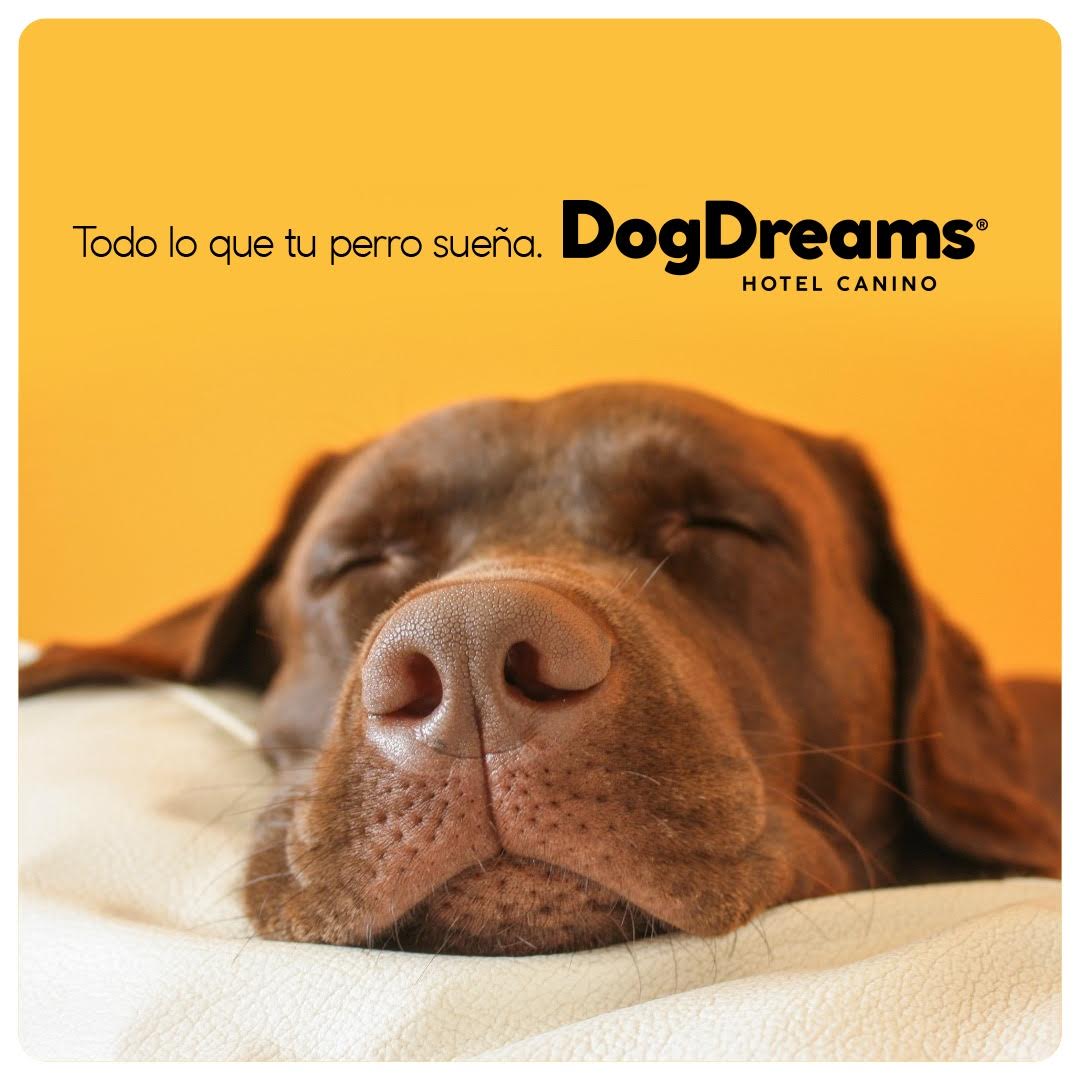 Cliente canino DogDreams